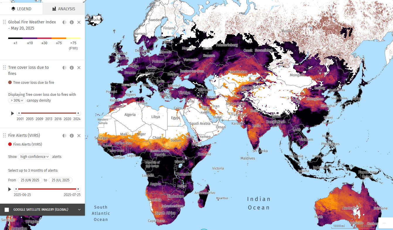 Global Forest watch map showing fire alerts, fire weather and tree cover loss due to fires